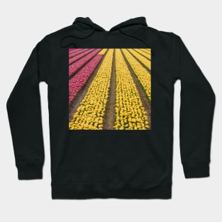 Fields of Tulips Hoodie